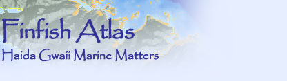 Finfish Atlas